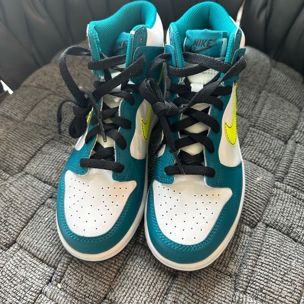 Little Boys Nike Dunks